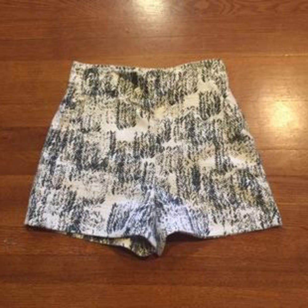 Zara shorts
